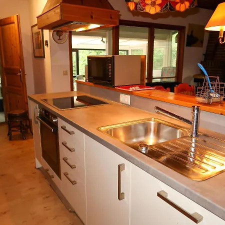 Alpesi faház Fietz By Interhome Nienkattbek